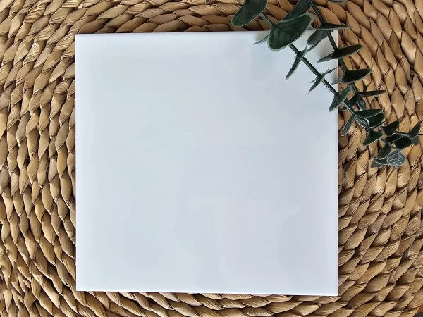 azulejo brillante 20x20